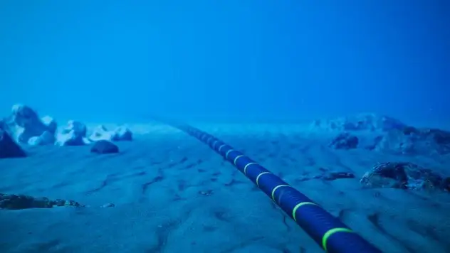 Subsea cable