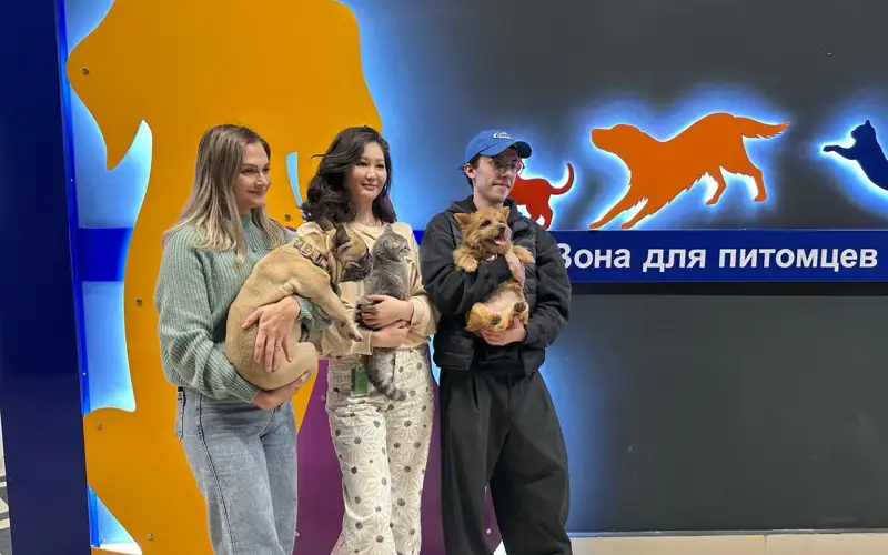 Зона для питомцев открыли в аэропорту Алматы