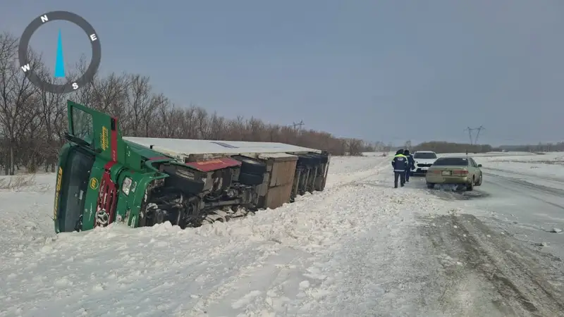 СҚО-да 20 тонна ет артылған шетелдік фура аударылып қалды
