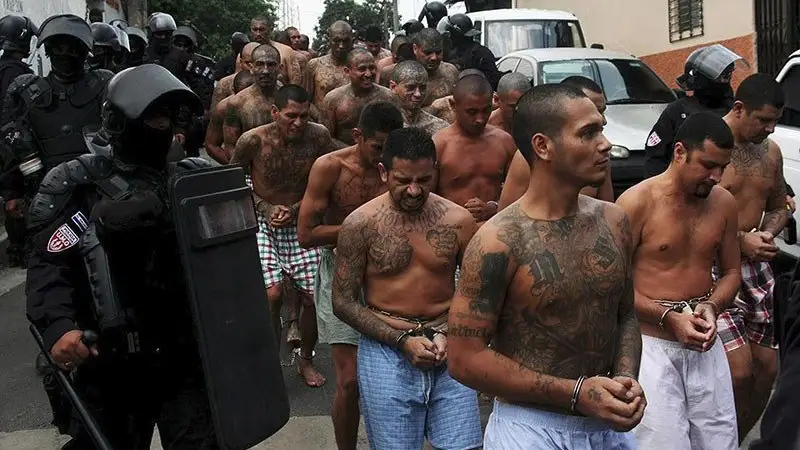 мексиканские картели