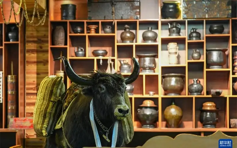 Тибетте көшпелілер мәдениетін әйгілейтін ерекше шайхана ашылды