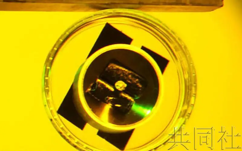 熔落核燃料
