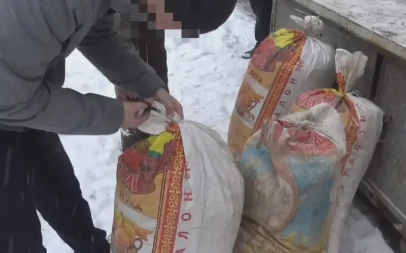 Кустарное производство гашиша накрыли в Кыргызстане