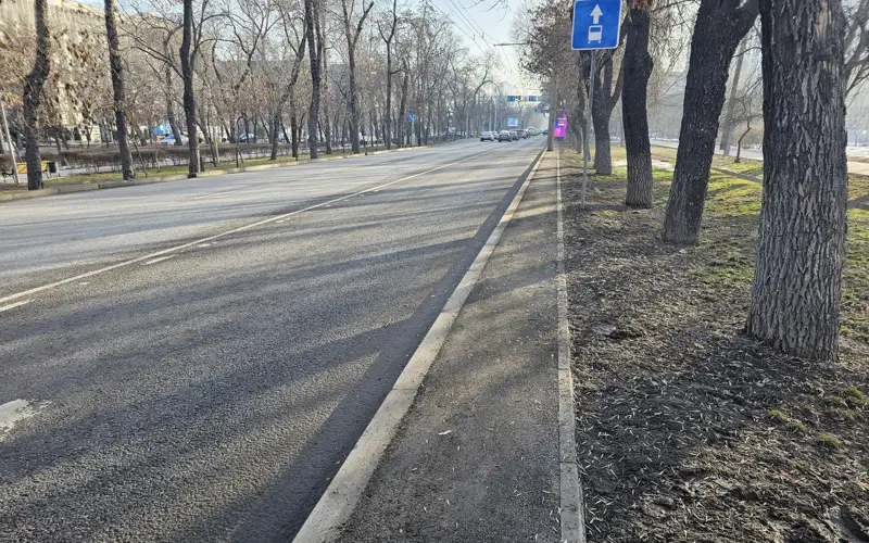 Almatyda 11 magıstraldi kóshede tehnıkalyq trotýarlar salynady