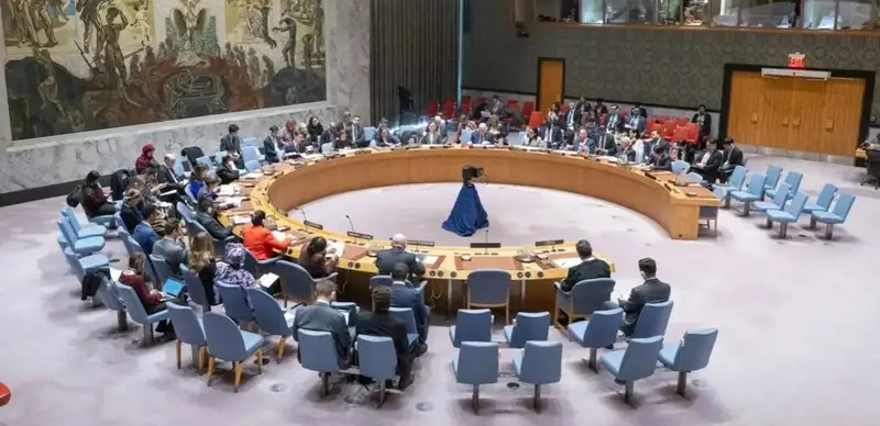 UN Security Council