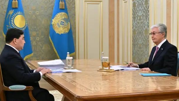 Президент Мемлекеттік қызмет істері агенттігінің төрағасын  қабылдады