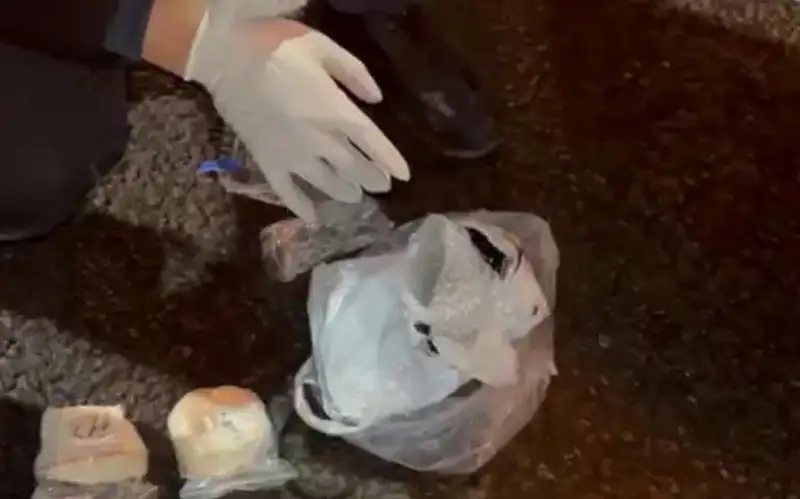 Almatyda esirtki taratqan 21 jastaǵy sheteldik ustaldy