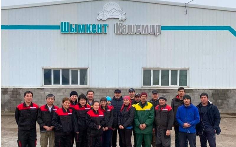 Казахстанскому животноводству не хватает глубокой переработки шерсти – фермеры Казахстанскому животноводству не хватает глубокой переработки шерсти – фермеры