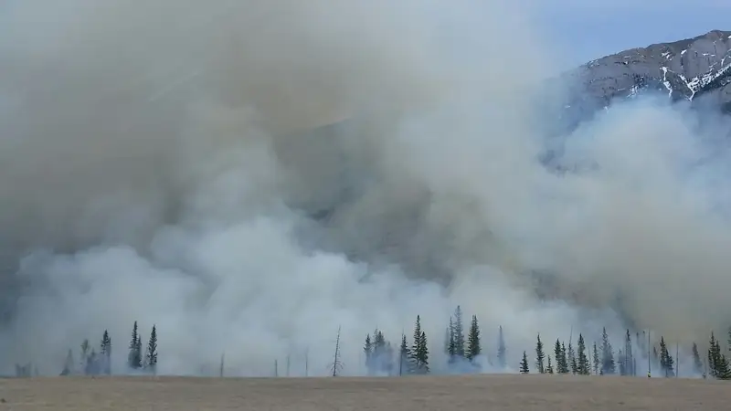 Лесные пожары в Японии: более 80 домов сгорели