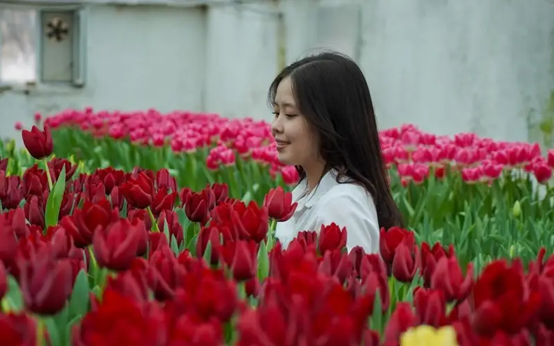 В Ботаническом саду Университета Ахмеда Ясави расцвели тюльпаны