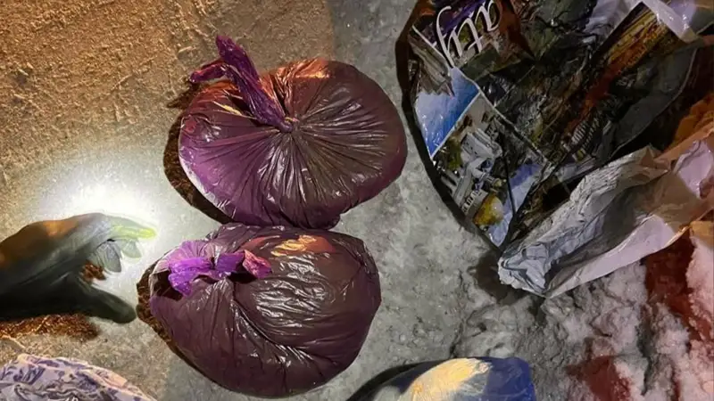 UQK Aqmola oblysynda esirtki arnasynyń jolyn kesti 