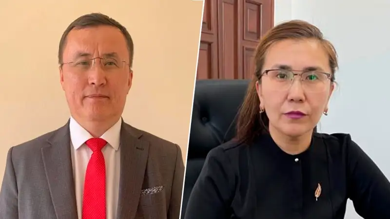 В отношении экс-главы управления сельского хозяйства области Улытау и его зама начато расследование