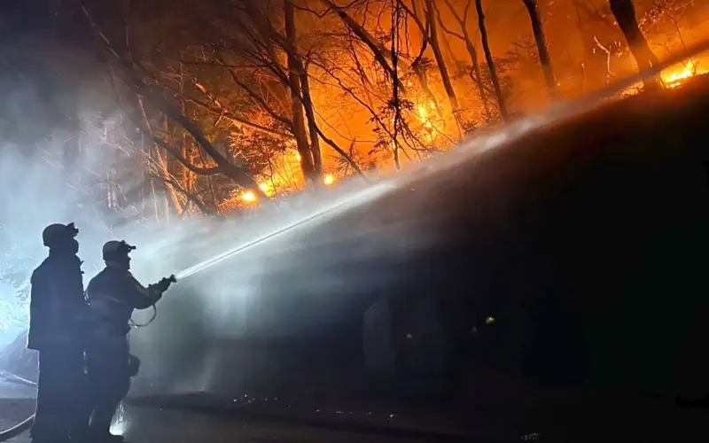 Firefighters dispatched from Aomori Prefecture fight a forest fire in Ofunato, Iwate Prefecture, on March 4, 2025.