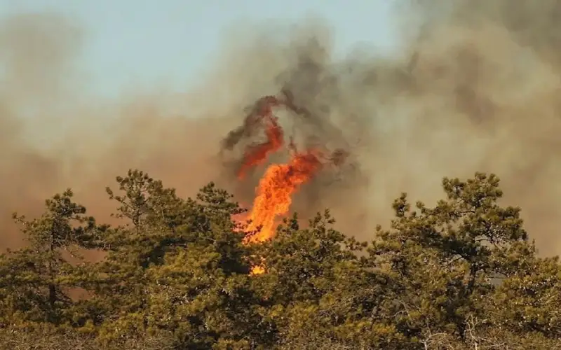 Лесные пожары вспыхнули рядом с Нью-Йорком 