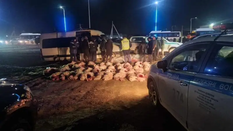 Қызылорда қаласында браконьерлер тобы қолға түсті 