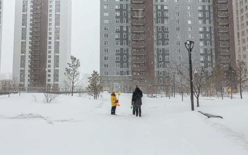 боран, метель, снег, погода