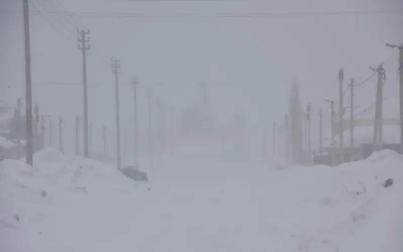 погода, боран, метель, дорога