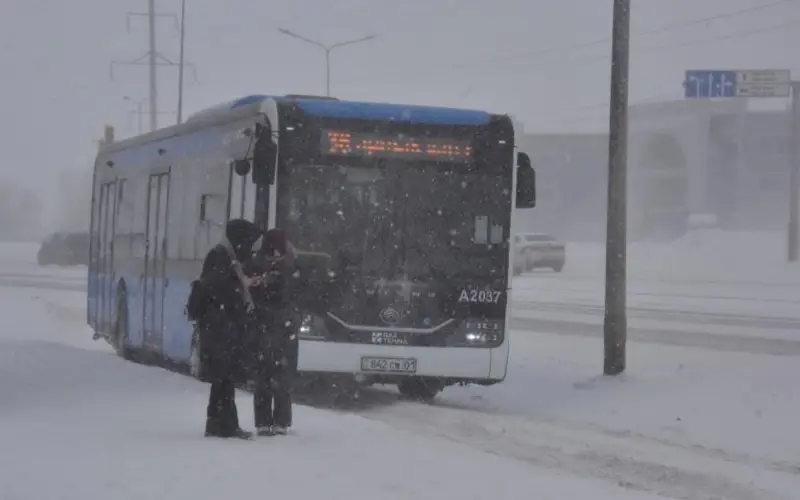 погода, боран, метель, дорога, автобус, остановка