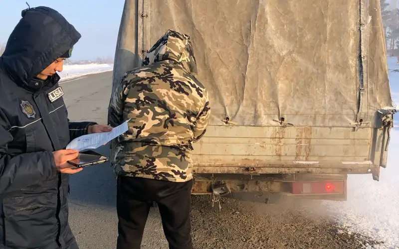 Pavlodarda tórt túlikti tasymaldaý erejelerin buzǵan 8 azamat aıyppul arqalady