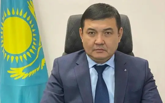 член Высшей аудиторской палаты