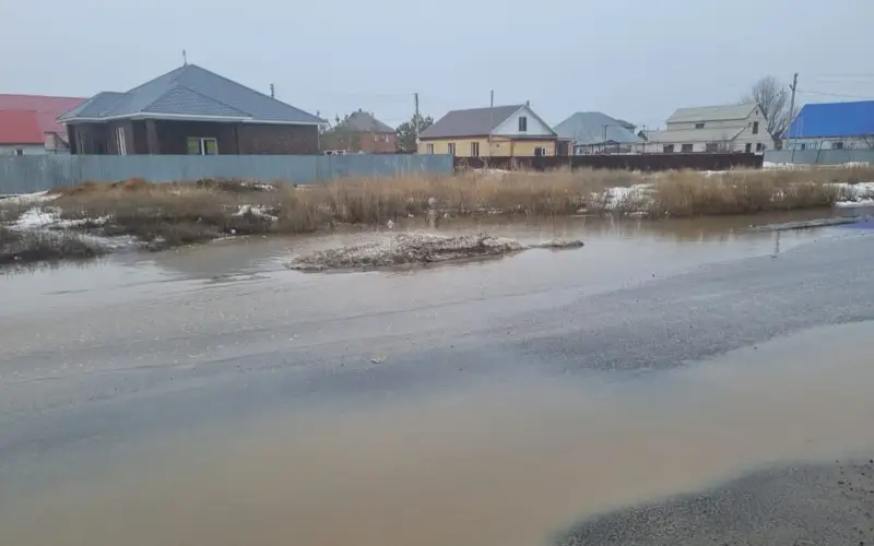 sý
