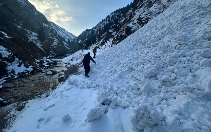 қар көшкіні