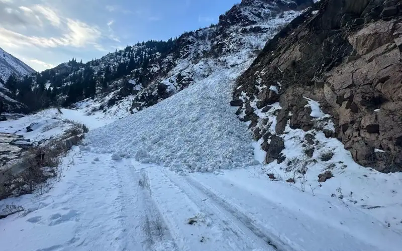 лавина дорога