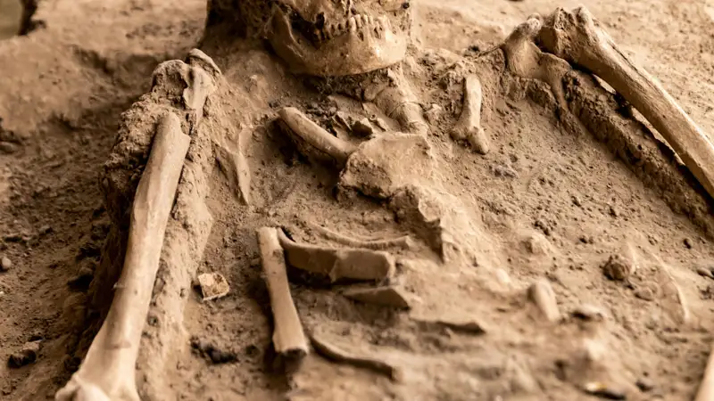 Одни из самых древних человеческих останков в Европе нашли в Испании 