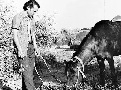 Сүлейменов