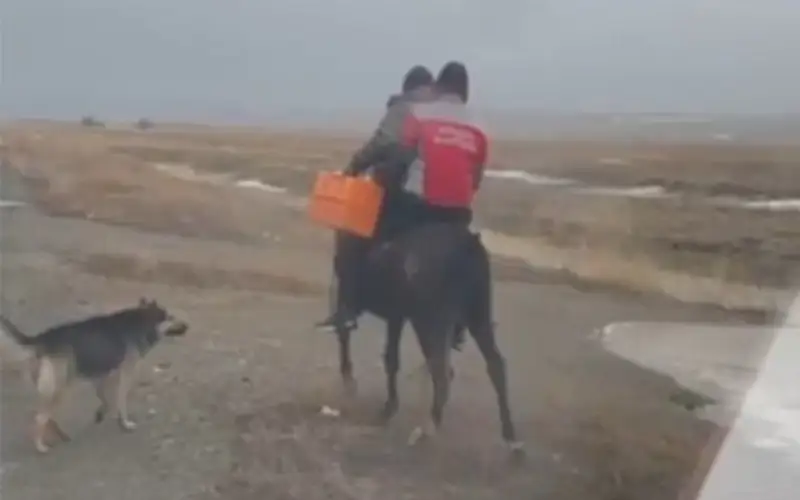 Фельдшер добирался до пациентки на коне в области Жетысу