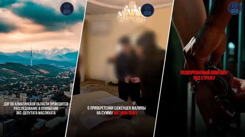 Экс-депутата раймаслихата Алматинской области обвиняют в крупном мошенничестве