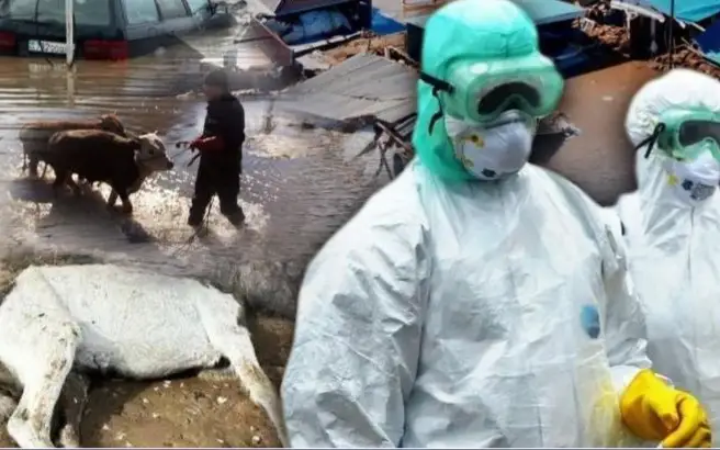 Казахстанцам дали рекомендации по профилактике отравлений и инфекций при паводке