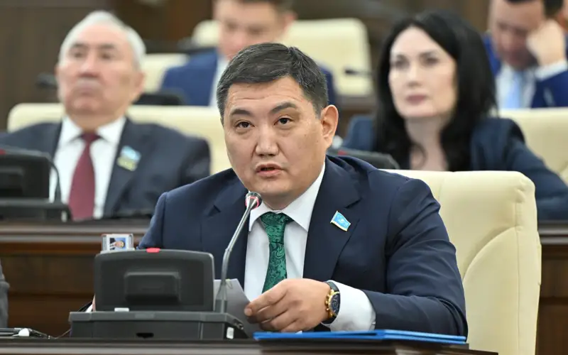 Законодательно запретить «помогаек» предложил депутат в Казахстане