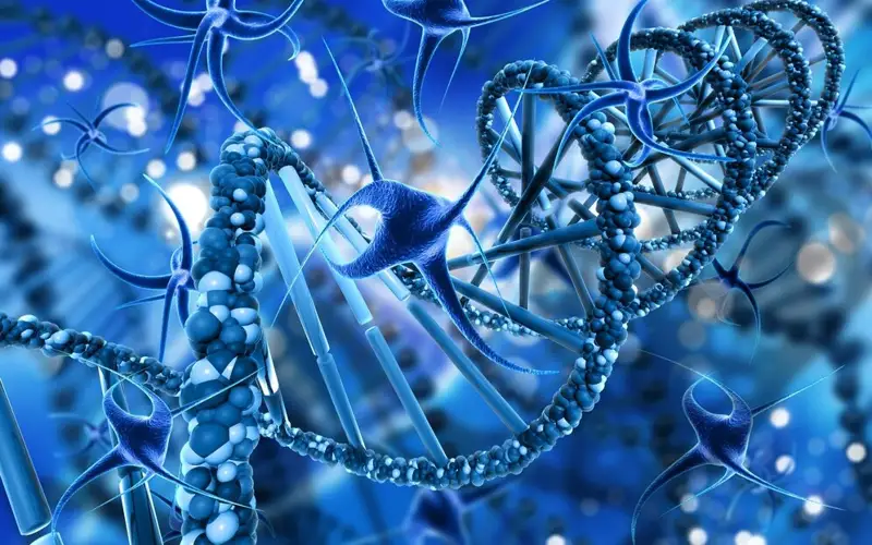The ancient genetic reunion that created modern humans