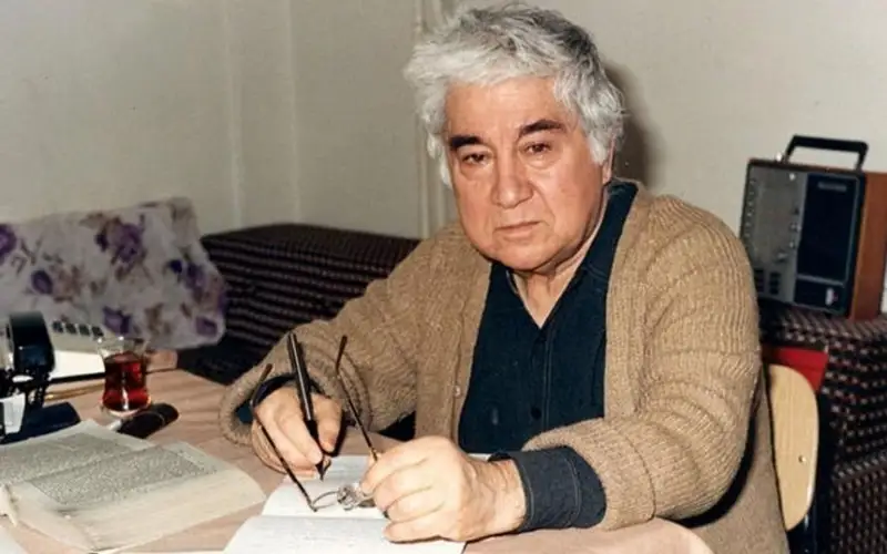 Түрік жазушысы