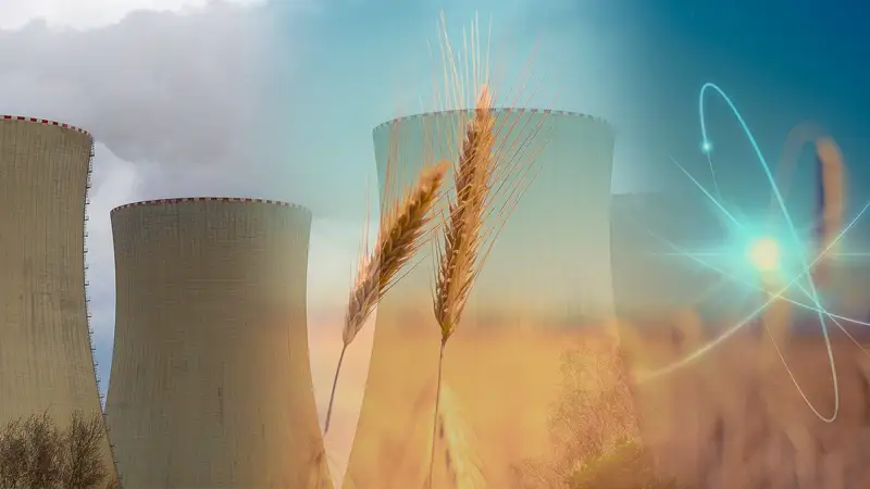 Агентство по атомной энергии, рекордные поставки зерна