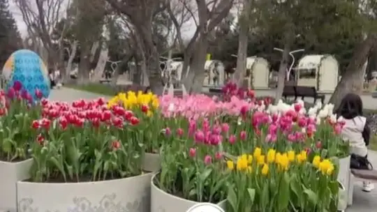 как в Азербайджане готовятся отмечать Новруз