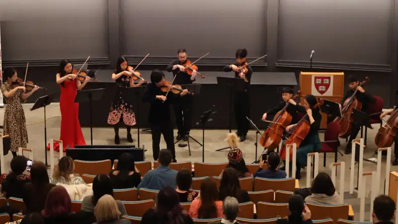 Наурыз гарвард 