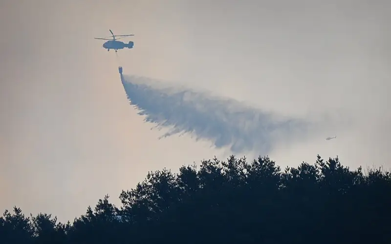 Лесные пожары в Южной Корее: четверо погибли, шестеро ранены