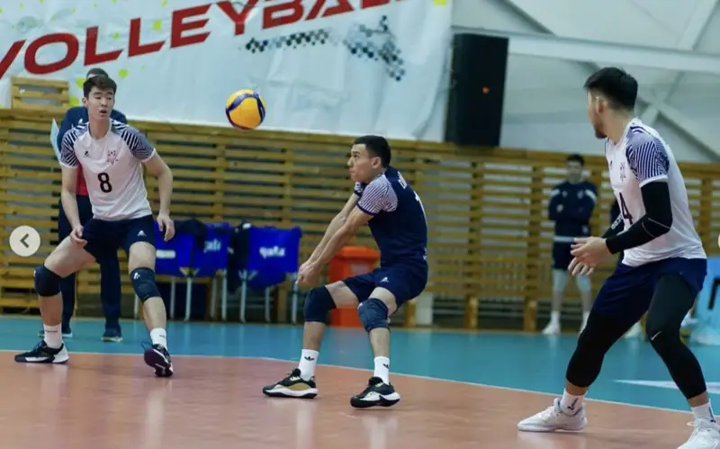 Voleıbol