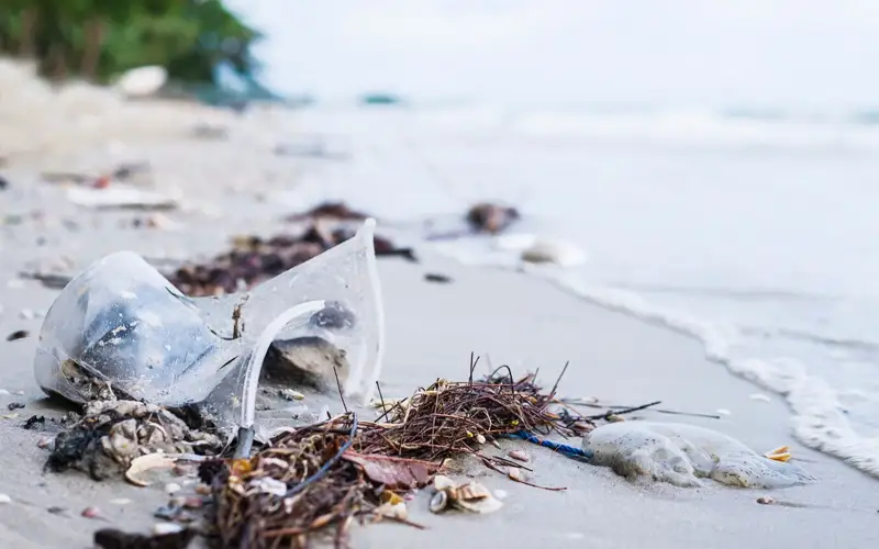 Plastic pollution