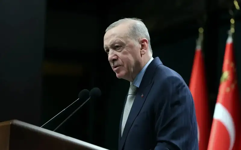 Ердоған наразылық білдірушілер алдында сөз сөйлеп, оларды «арандатушылықты тоқтатуға» шақырды 