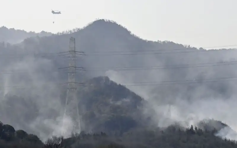 wildfires