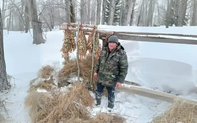 Шығыс Қазақстанда орманда ашыққан жануарларды қоректендіріп жатыр