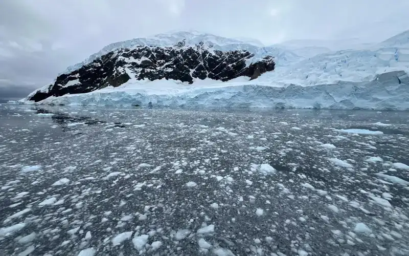 Arctic winter sea ice hits record low for 2nd consecutive year: study