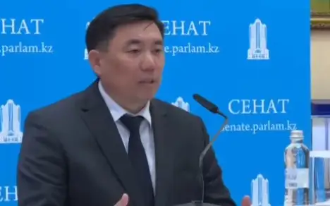 Когда будет принято решение о ставке НДС в Казахстане