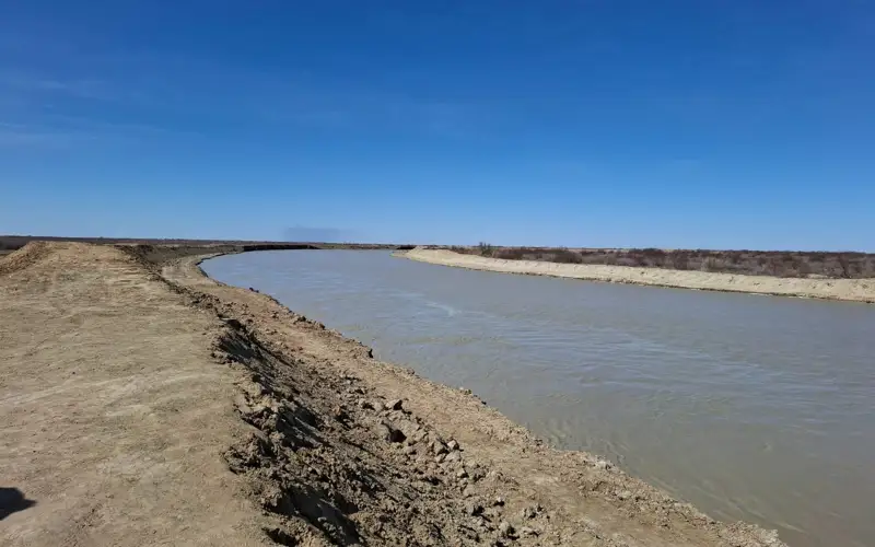 Ормандағы жалаңаш орыс әйелі