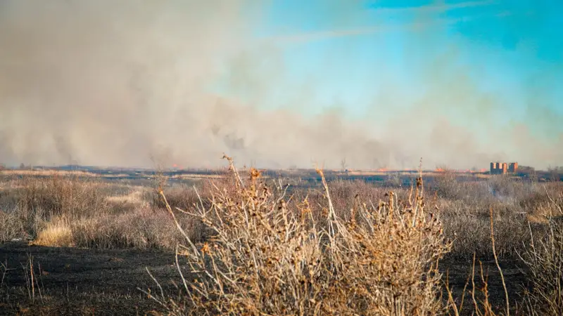 Около 170 га сухостоя сгорело за два дня в Акмолинской области