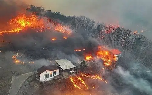 Wildfires in South Korea