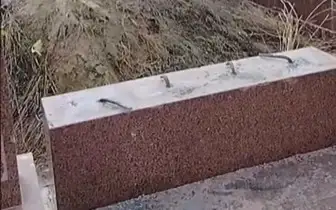 Almaty oblysynda zırattyń qulyptastaryn qıratqan kúdikti ustaldy